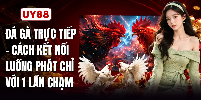 Đá Gà Trực Tiếp - Cách Kết Nối Luồng Phát Chỉ Với 1 Lần Chạm