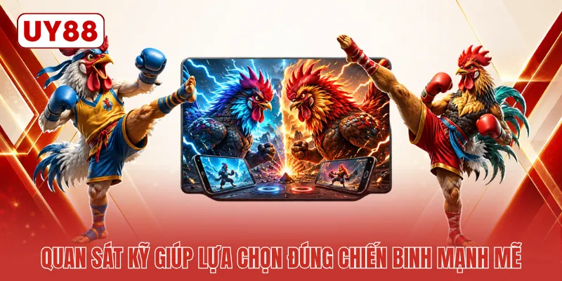 Quan sát kỹ giúp lựa chọn đúng chiến binh mạnh mẽ